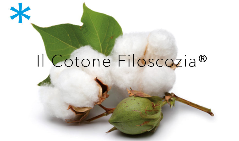 Le origini del nome Filo di Scozia